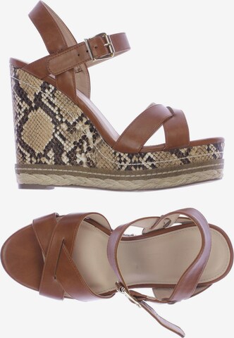 Office London Sandals & High-Heeled Sandals in 38 in Brown: front