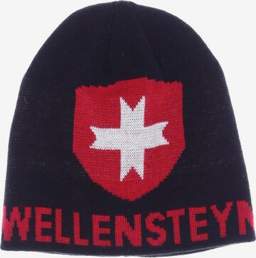 Wellensteyn Hut oder Mütze One Size in Schwarz: predná strana