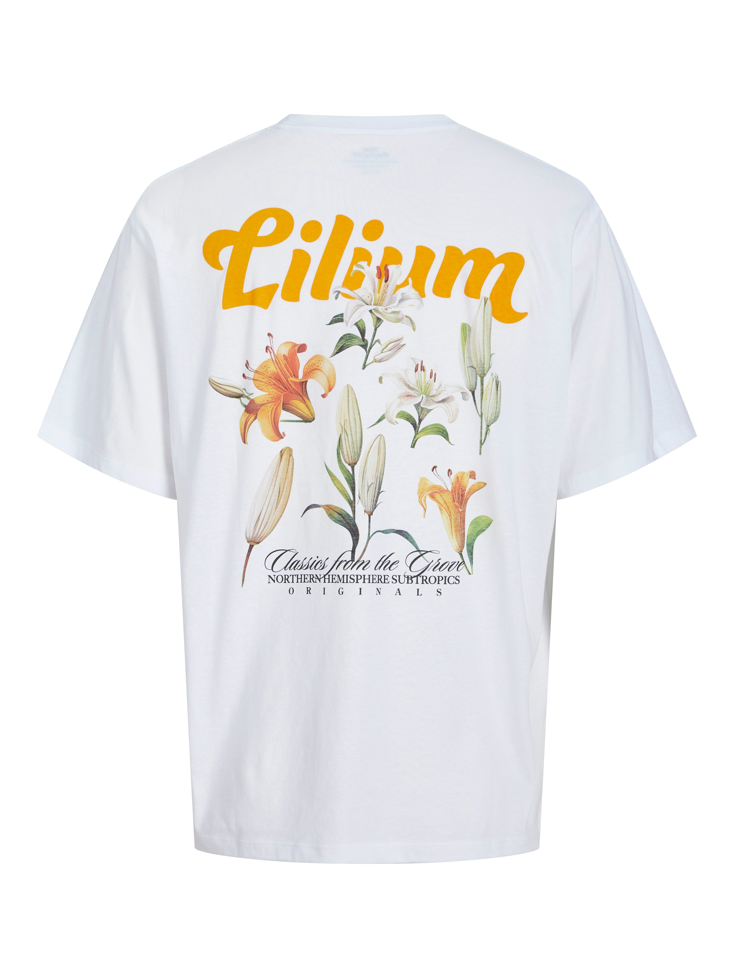 JACK & JONES Shirt 'JORGROVE' in White