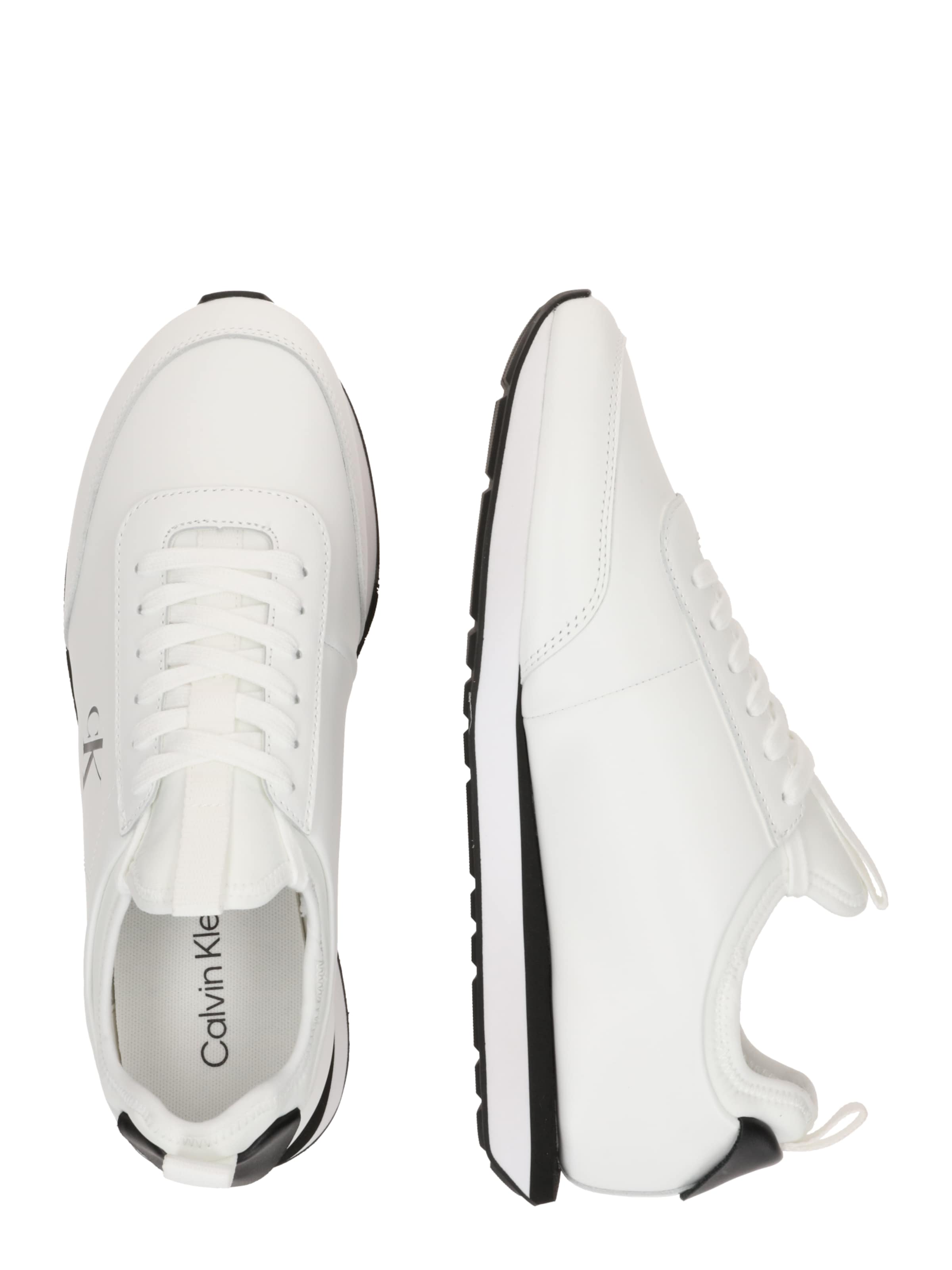 Baskets basses Calvin Klein en blanc