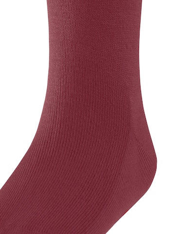 FALKE Socks 'Family' in Red