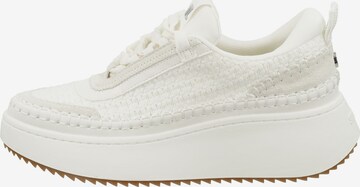 Baskets basses STEVE MADDEN en blanc