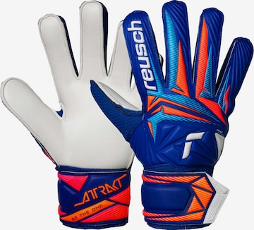 REUSCH Sports gloves 'Attrakt Solid Junior' in Blue: front