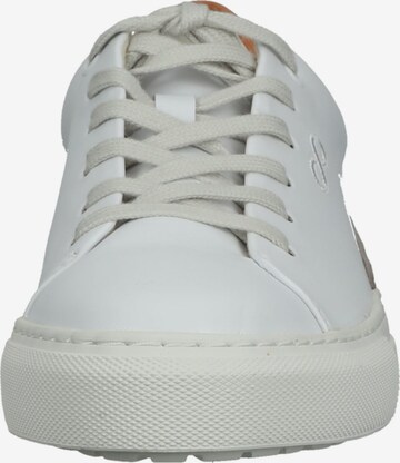 ENBALANCED Sneakers in White