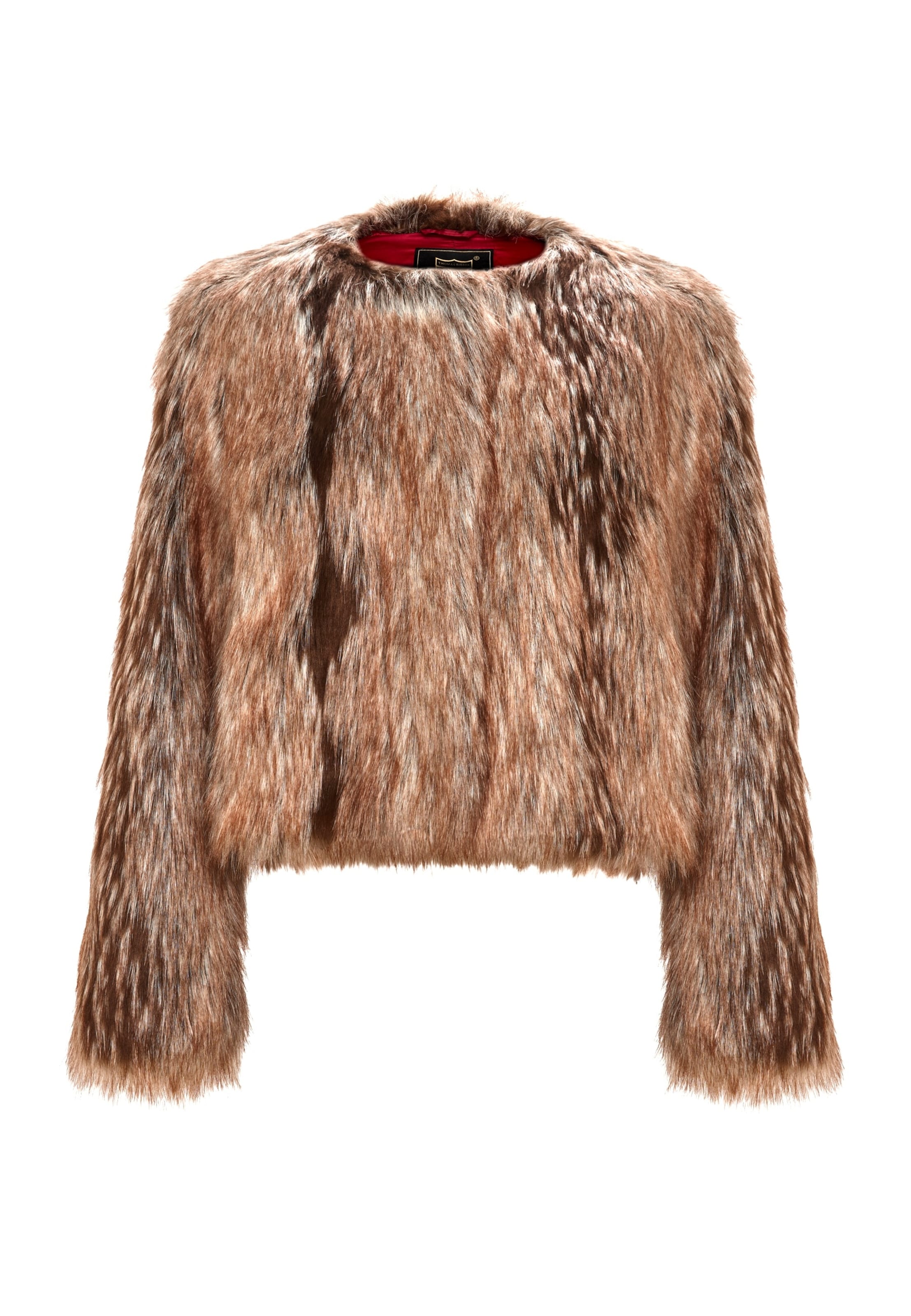 CESARE GASPARI Wintermantel in Bruin: voorkant