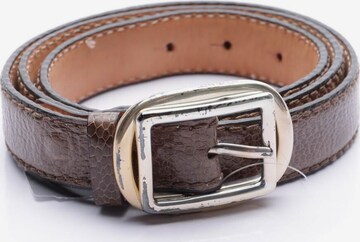 Reptile's House Belt in L in Brown: front