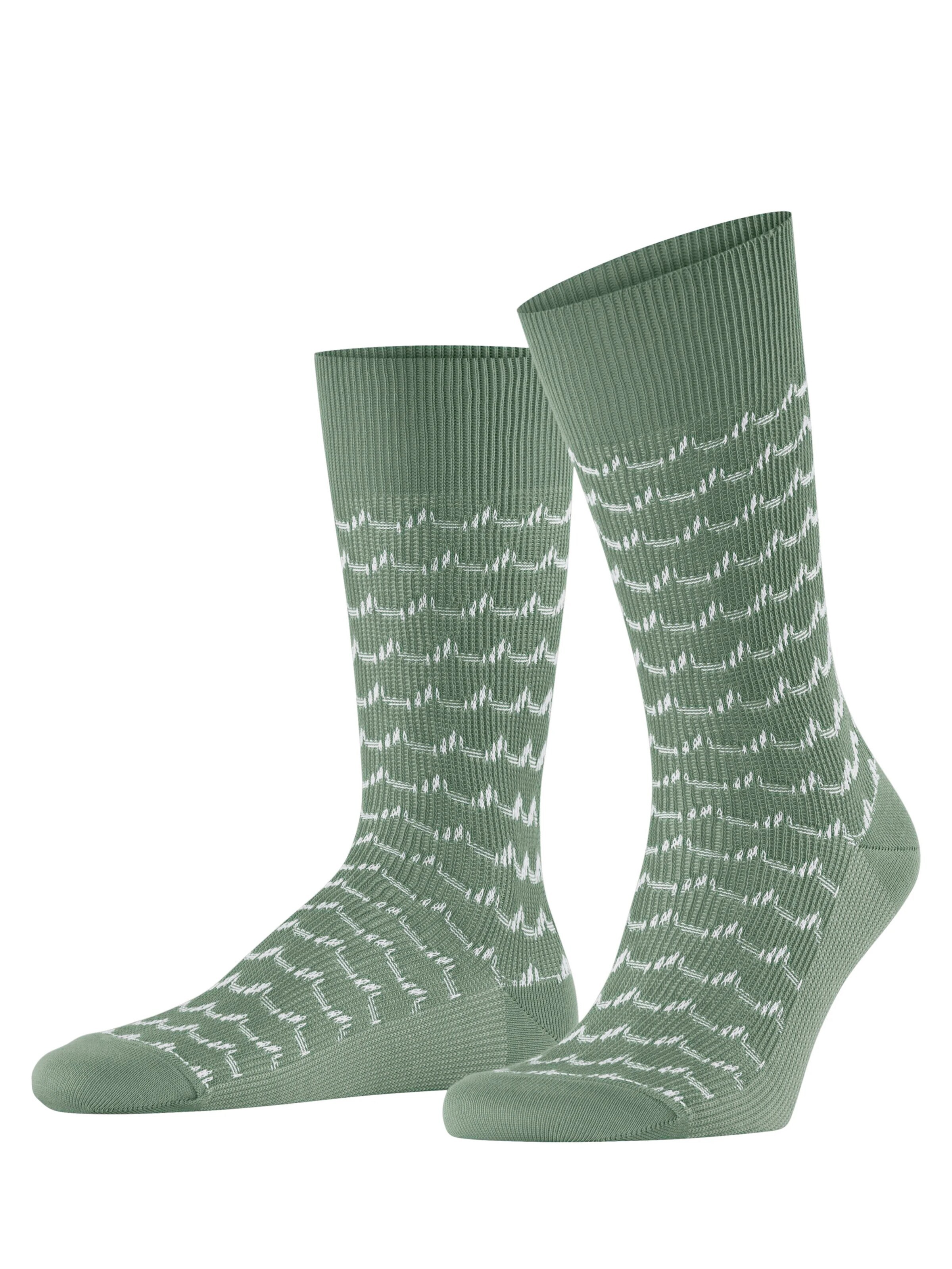 FALKE Socks 'Sea Rock' in Green: front