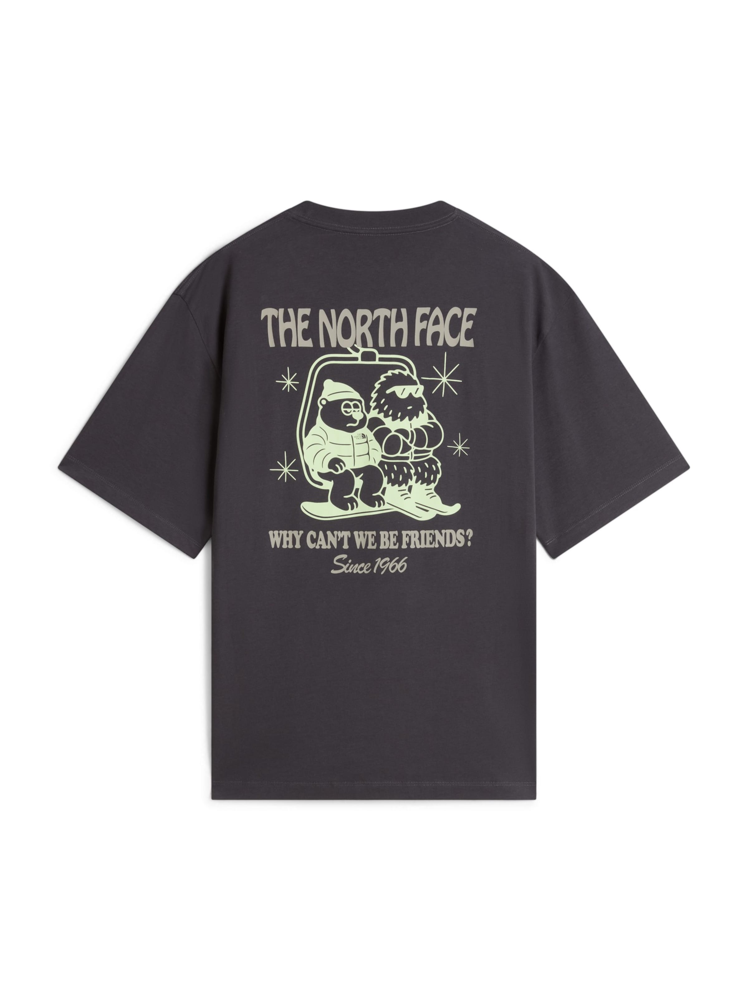 Maglietta 'LET'S BE BUDDIES' di THE NORTH FACE in grigio