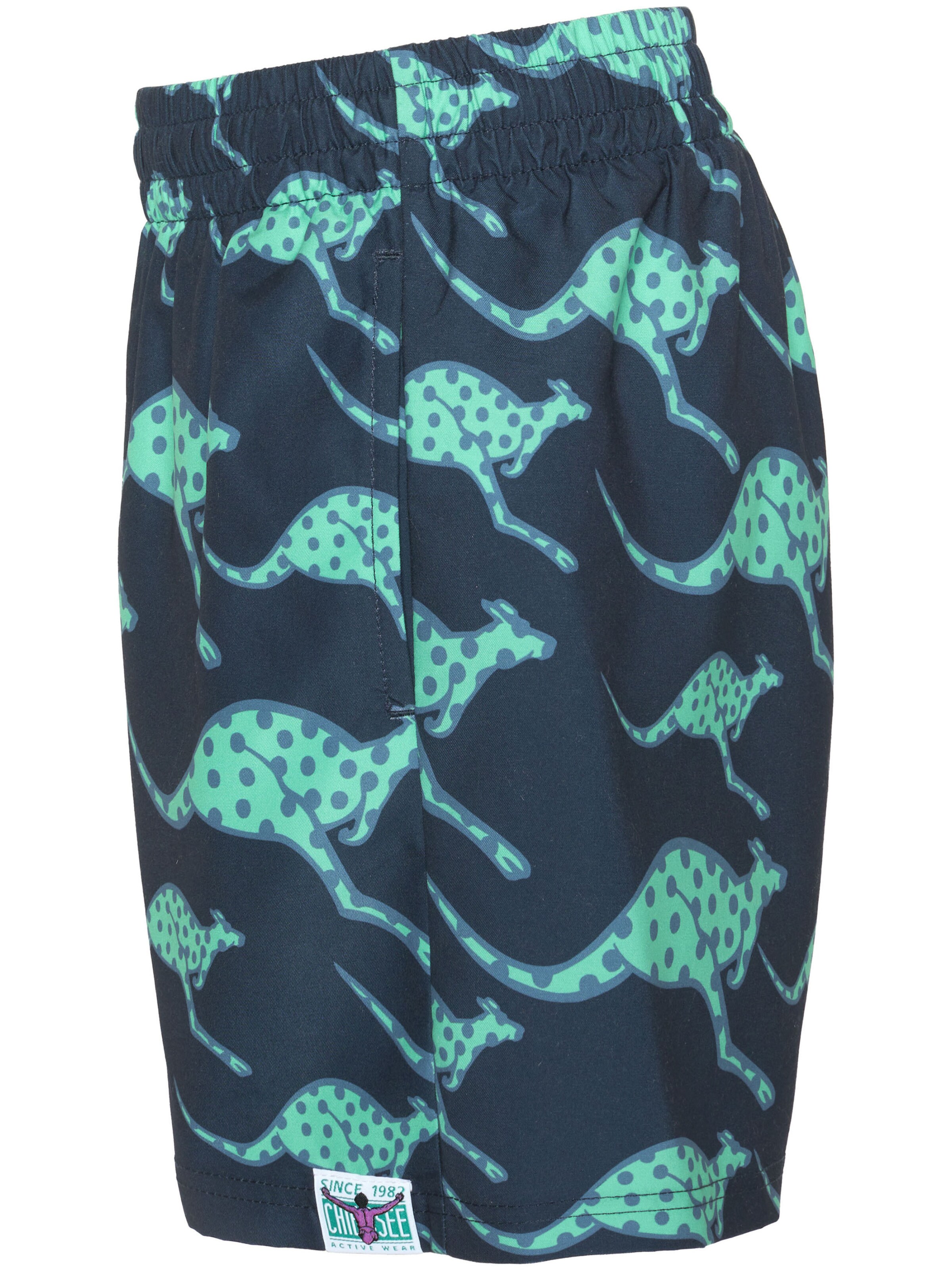 CHIEMSEE Athletic Swimwear in Blue