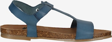 COSMOS COMFORT Sandals in Blue