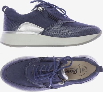 SIOUX Sneakers & Trainers in 37 in Blue: front