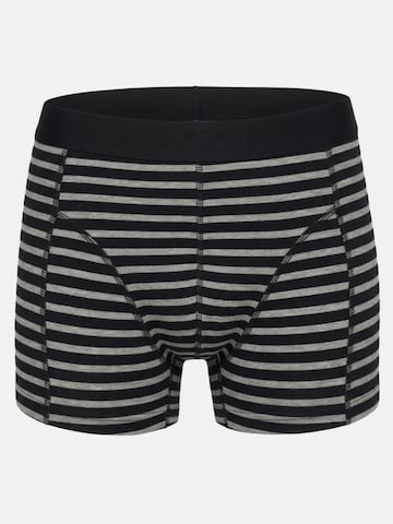 Boxers 'BS1000' Tazzio en transparent