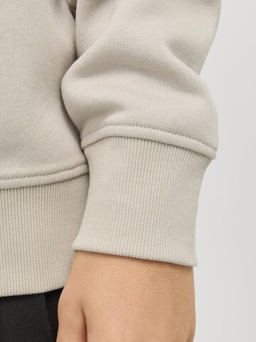Sweat 'JJEBRADLEY' Jack & Jones Junior en beige