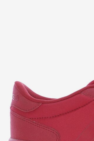 ADIDAS NEO Sneakers & Trainers in 39,5 in Red