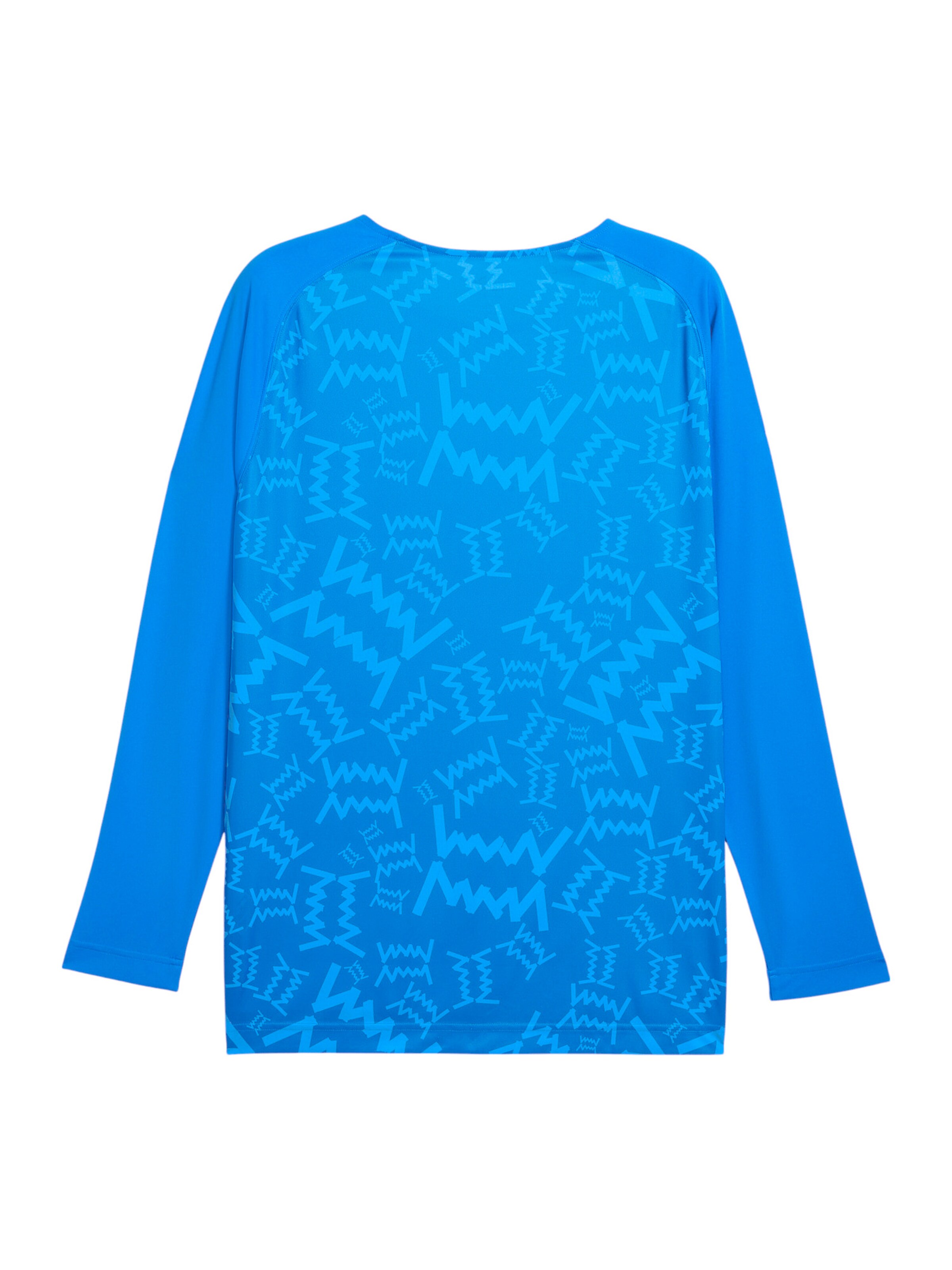PUMA Funktionsshirt 'Teamjaws' in Blau