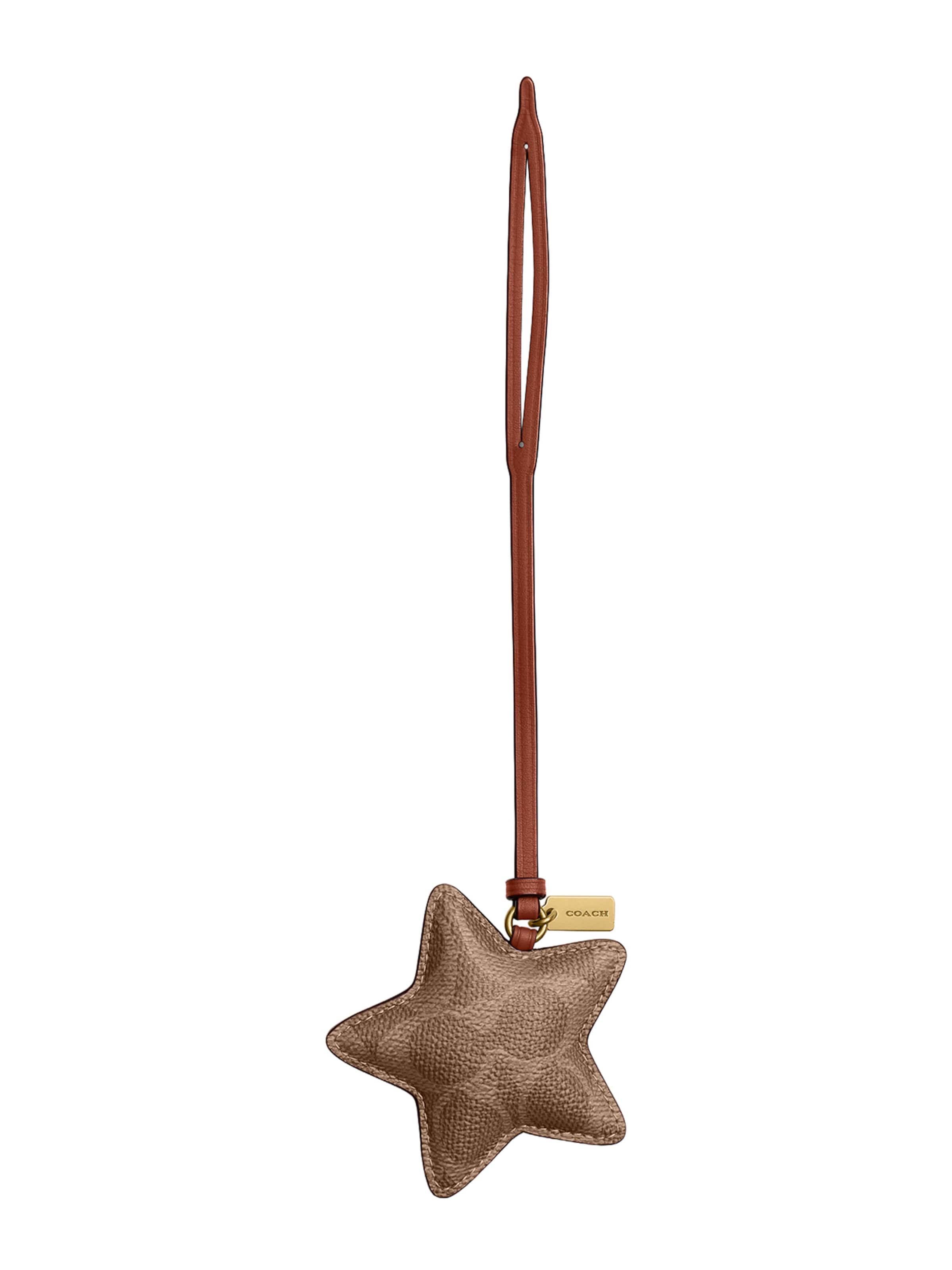 COACH Брелок в Коричневый: спереди