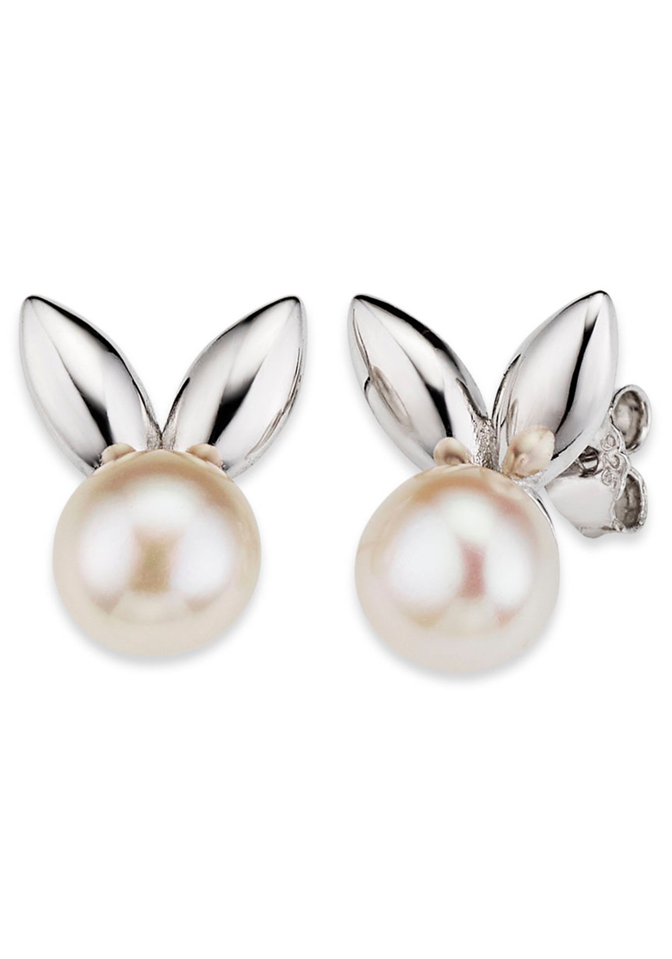 Bruno Banani Earrings in Silver: front