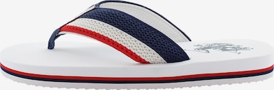 Šlepetės per pirštą 'Hank' iš U.S. POLO ASSN., spalva – mėlyna / raudona / balta, Prekių apžvalga