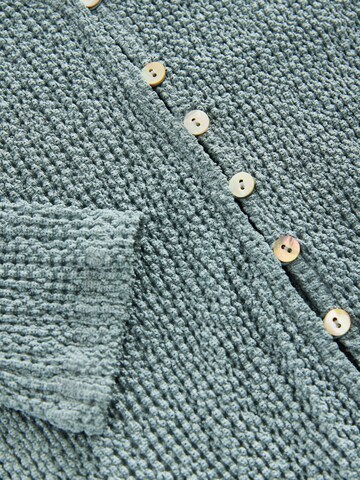 Next Strickjacke in Blau