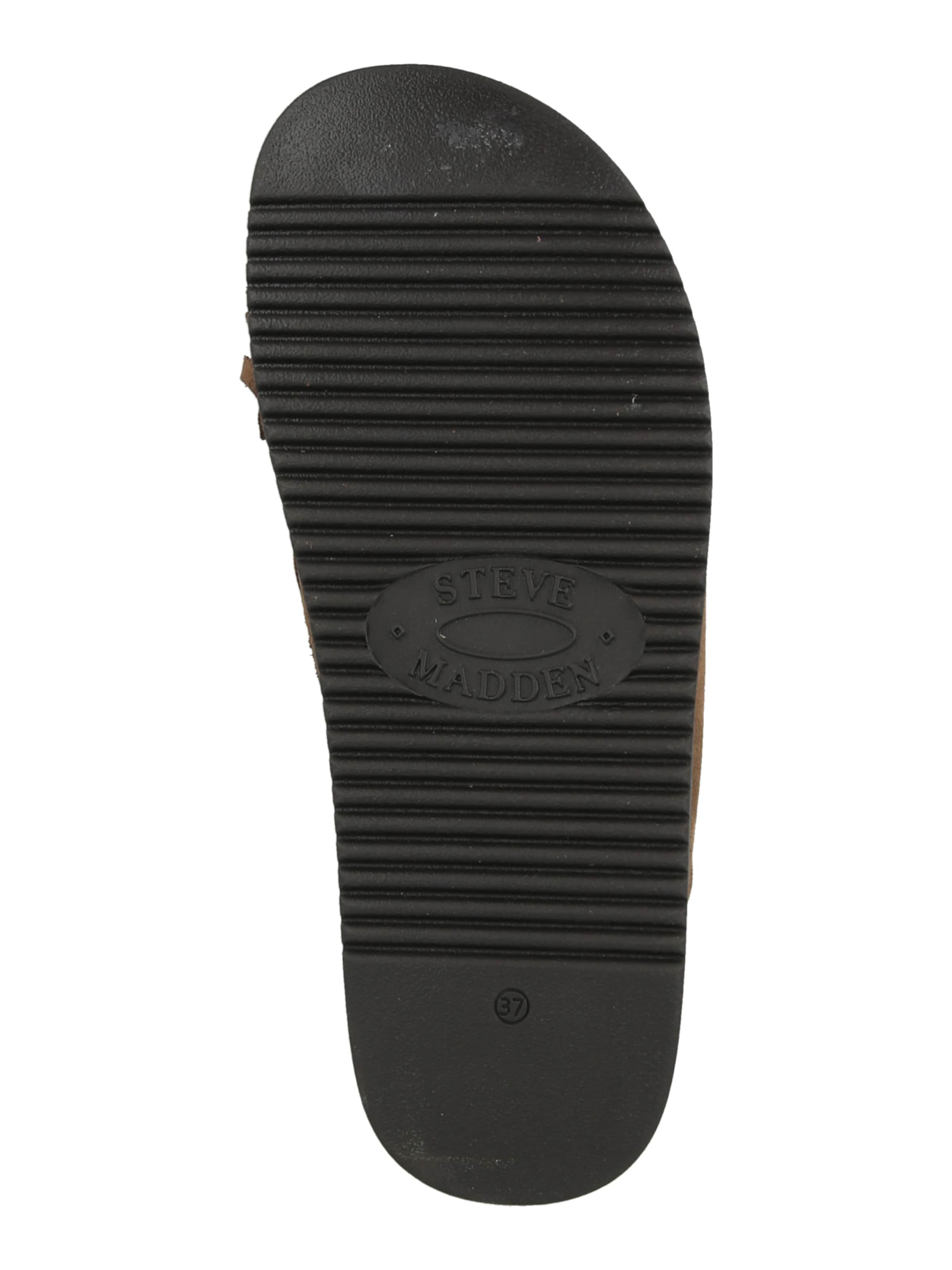 STEVE MADDEN Pantolette 'Maurea' i grå