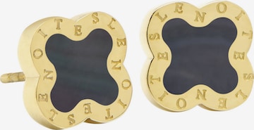 Lenoites Ohrringe 'Clover' in Gold: Vorderseite