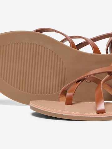 ONLY - Sandalias con hebilla 'ONLMINO-1' en marrón