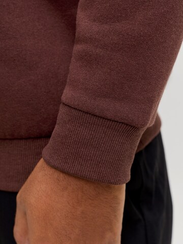 Jack & Jones Plus Sweatshirt 'JJEBRADLEY' in Bruin