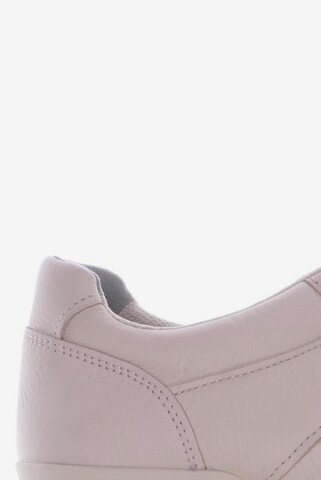 Everlane Sneaker 43,5 in Pink
