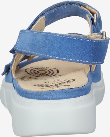 Ganter Sandalen met riem in Blauw