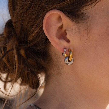 PURELEI Earrings in Silver: front