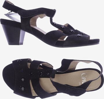 CAPRICE Sandalen 38,5 in Schwarz: predná strana