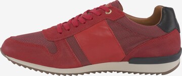 Baskets basses 'Rizza' PANTOFOLA D'ORO en rouge