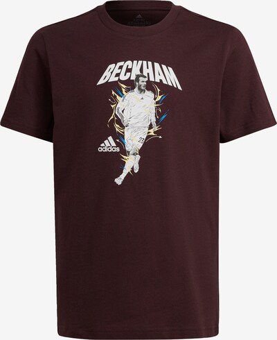 ADIDAS PERFORMANCE Performance Shirt 'Beckham' in Cream / Sky blue / Wine red / White, Item view