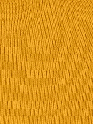 Brookshire Sweater ' ' in Yellow