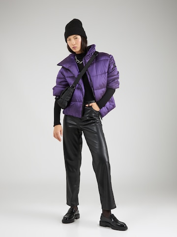 BOSS Orange Winter jacket 'Padina' in Purple