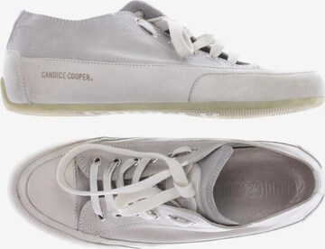 Candice Cooper Sneaker 36 in Grau: predná strana