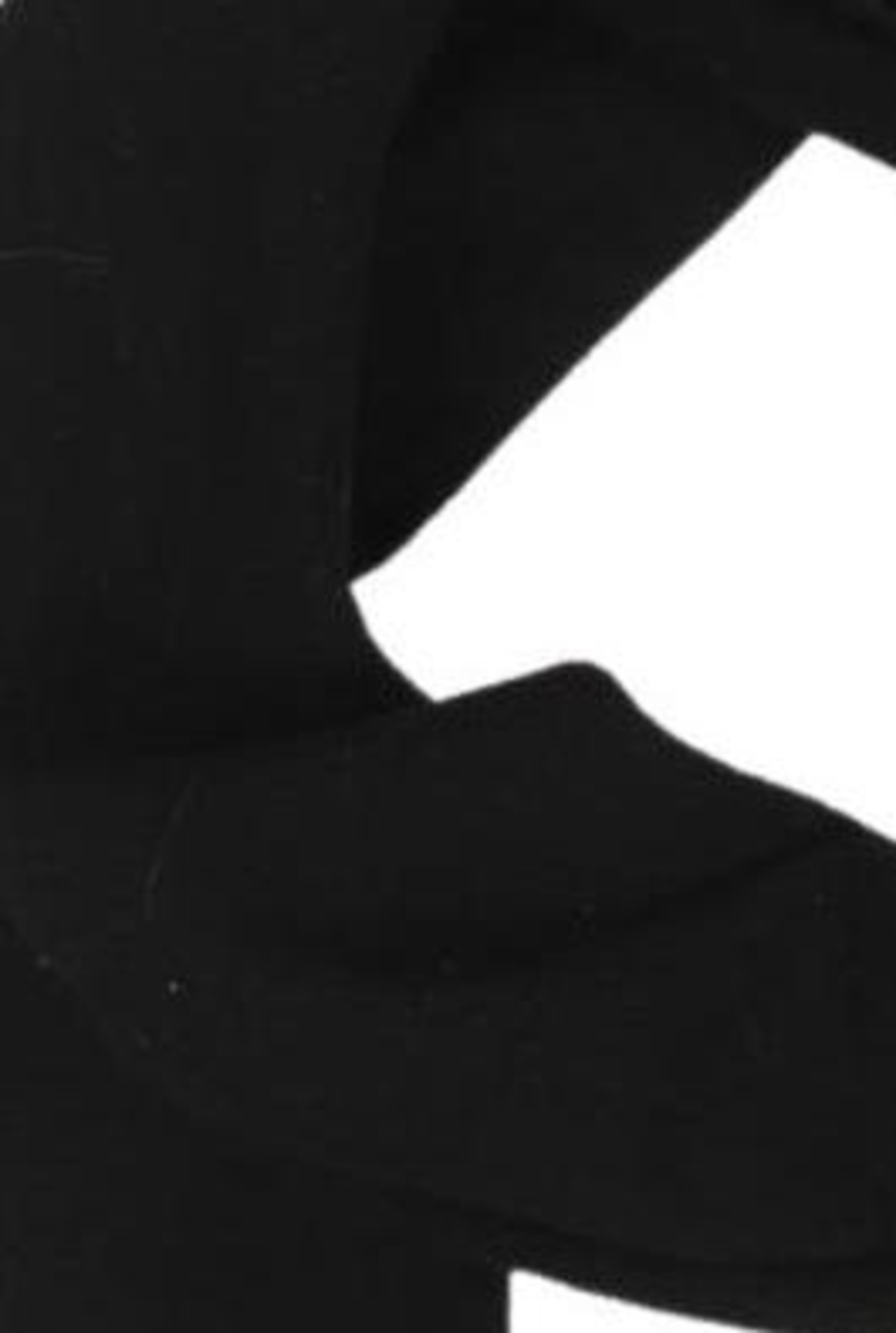 Champion Authentic Athletic Apparel Schal oder Tuch One Size in Schwarz