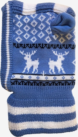 Kumixi Beanie in Blue: front