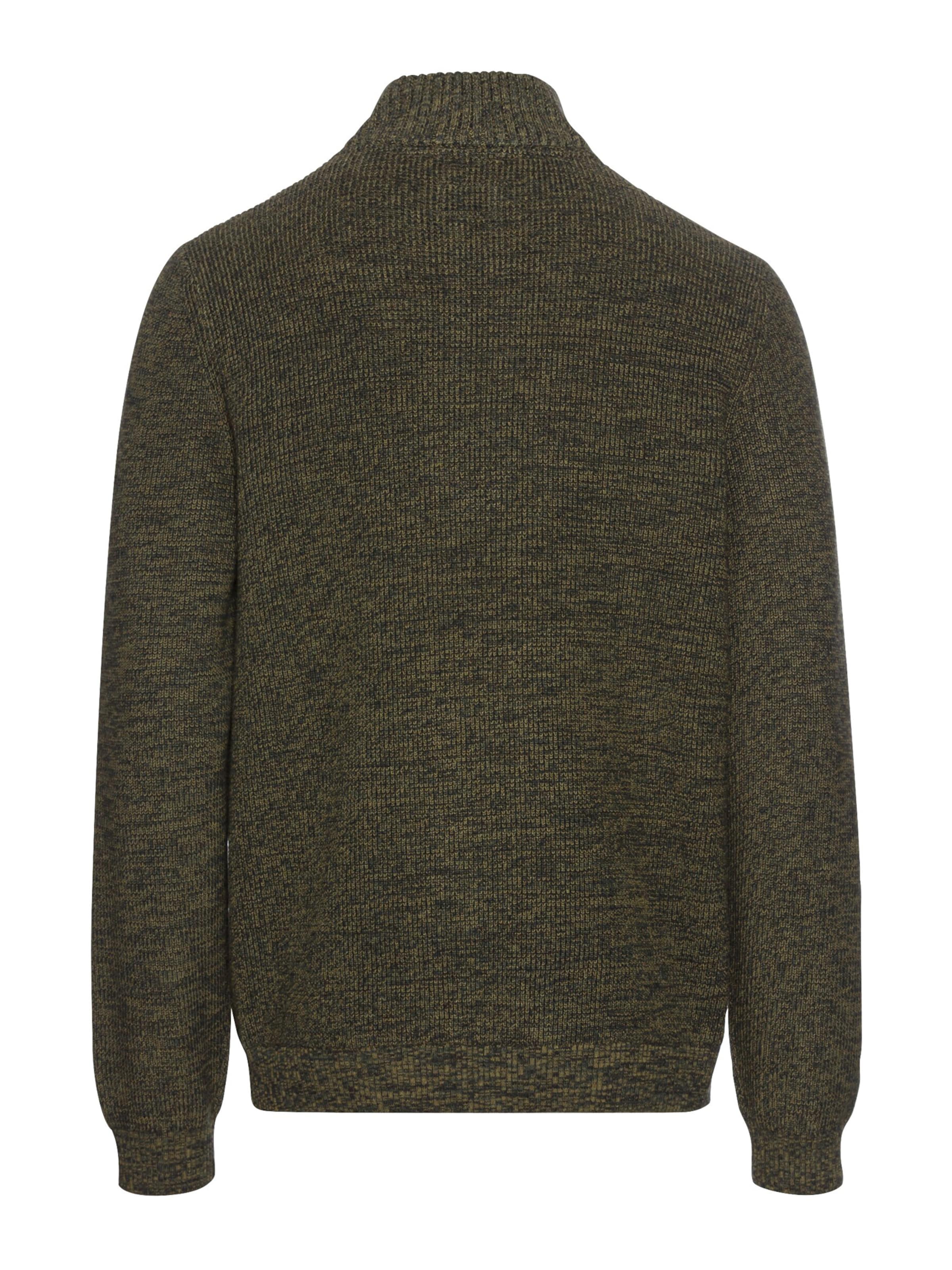 CAMEL ACTIVE Pullover in Grün