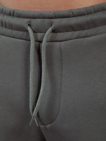 Smilodox Regular Brayan Casual Baggy Pants in Grau