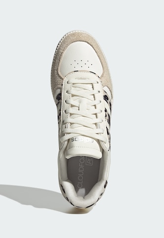 Baskets basses ADIDAS SPORTSWEAR en blanc