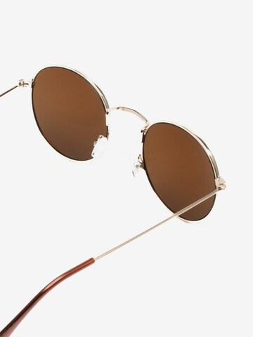 Lunettes de soleil ECO Shades en marron