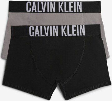Calvin Klein Underwear Долни гащи в сиво