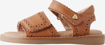 Sandales Next en marron : devant