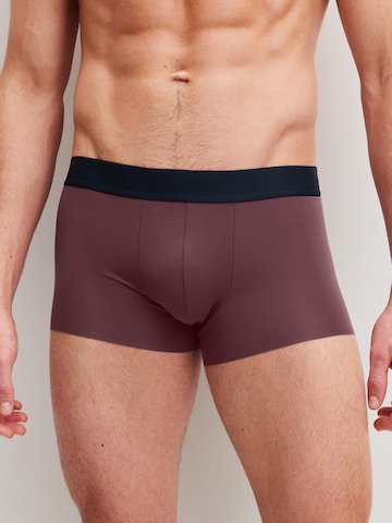 CALIDA Boxershorts 'Clean Line' in Beige