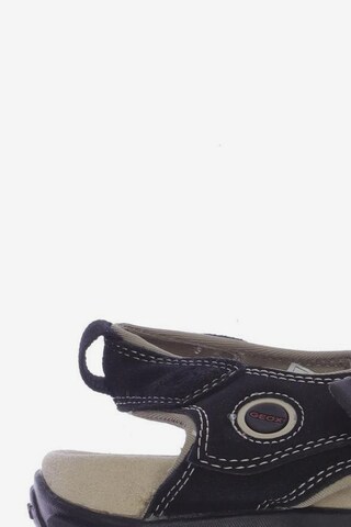 GEOX Sandals & Slippers in 46 in Black