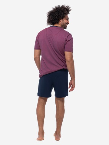 Ammann Pyjama kort 'Night & Home Cotton' in Gemengde kleuren