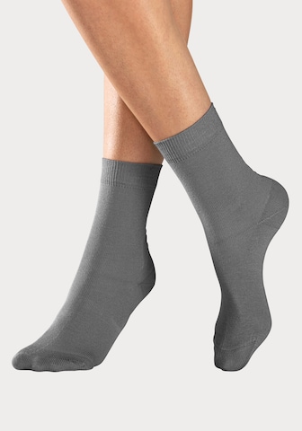 H.I.S Socks in Grey