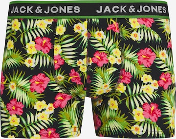 JACK & JONES Boxer shorts in Green