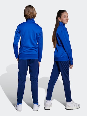 ADIDAS SPORTSWEAR Тренировочный костюм 'Essentials' в Синий